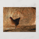 Search for digital photo postcards Abstract