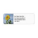 Search for sun flower return address labels Sunflowers