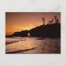 Search for olympic national park postcards Ocean