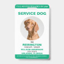 Search for service dog badges For pets