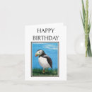 Search for puffin cards Bird