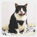 Search for tongue sticking out stickers Face