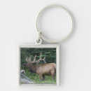 Search for bugle keychains Wildlife