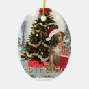 Search for cane corso Santa