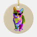 Search for sunglasses ornaments Cat