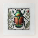 Search for beetle puzzles Insect