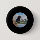Search for bird hunt buttons Fish
