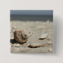 Search for ocean view buttons Sand