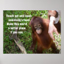 Recherche de orang outan posters Pour tous