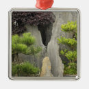 Search for bonsai ornaments Asia