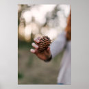 Search for pine cone posters Outdoors