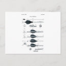 Recherche de tir cartes postales Flèche