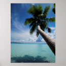 Search for micronesia posters Large format