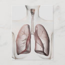 Recherche de vue 3d cartes postales Larynx