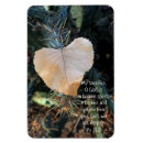 Search for leafs magnets Nature