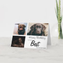 Search for cat dad birthday cards Mom