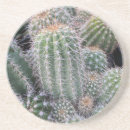 Search for cacti coasters Plant