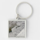 Search for cumulus clouds keychains Satellite view