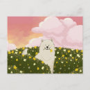 Search for samoyed stuff postcards Cute