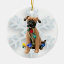 Search for mouth ornaments Dog