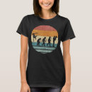 Search for evolution of womens clothing Player