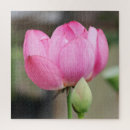 Search for lotus flower puzzles Beautiful