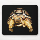 Search for tortoise mousepads Animals