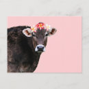 Search for leis postcards Aloha