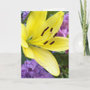 Search for lavender hydrangea cards Flowers