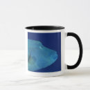 Search for carefree mugs Close up