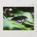 Search for appears postcards Blue