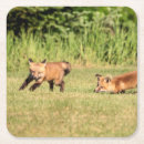 Recherche de kit dessous de verres Animal