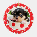 Search for puppys first christmas White