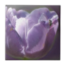 Recherche de lavender carreaux Fleur