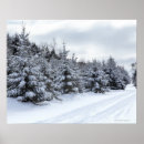 Search for cold temperature posters Usa