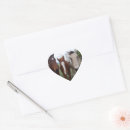Search for grey horse stickers Animal