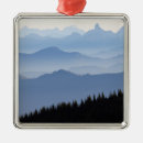 Search for cascade ornaments Landscape