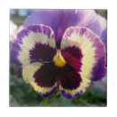 Search for pansy tiles Yellow