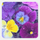 Search for dew stickers Bloom