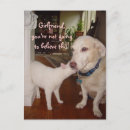 Recherche de petit chien cartes postales Chat