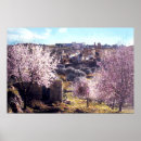 Search for vintage israel posters Christianity