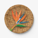 Search for bird of paradise flower plates Flowers