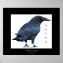 Search for bird rescue posters Wildlife