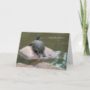 Recherche de tortue lente cartes postales Animaux