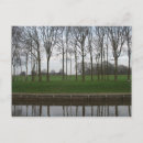 Search for tree line postcards Nature