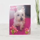 Search for dog easter cards Terrier