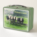 Search for cow lunch boxes Cute