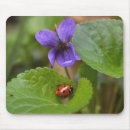 Search for ladybug mousepads Coccinellidae