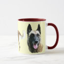 Recherche de malinois tasses Chien
