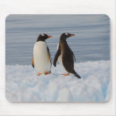 Search for steve mousepads Animal